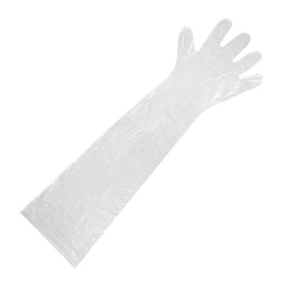 Edge Collections  - 35" - Clear - Shoulder Length Poly Gloves! Image 1
