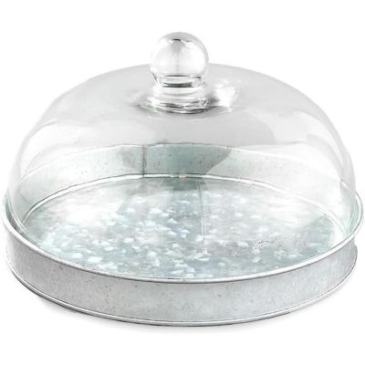 Elegant Galvanized Metal and Glass Cake Dome Server Image 1