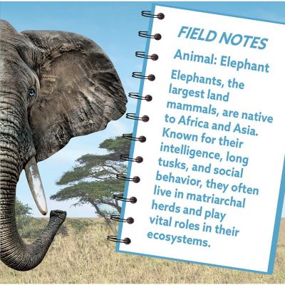 Elephant 100 Piece Shaped Jigsaw Puzzle Image 3