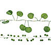 Eucalyptus Garland String Lights - 3 Pc. Image 2