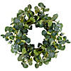 Eucalyptus Leaves Artificial Botanical Spring Wreath 20" Image 1