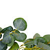 Eucalyptus Leaves Artificial Botanical Spring Wreath 20" Image 1