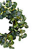 Eucalyptus Leaves Artificial Botanical Spring Wreath 20" Image 2