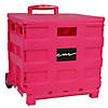 Everything Mary Storage Collapsible Rolling Cart Small With Lid Pink Image 1