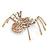 EWA Eco-Wood-Art Spider Construction Kit Image 2