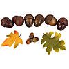 Fall Harvest Artificial Acorns and Maple Leaves Decoration Set - 11 Piece Image 1