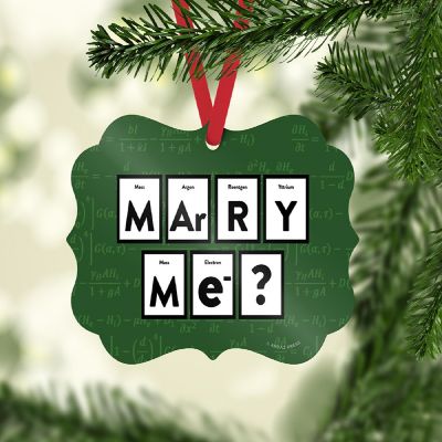 Fancy Frame Metal Ornament Marry Me? Image 1