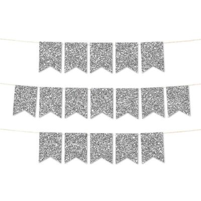 Faux Silver Glitter Pennant Image 1
