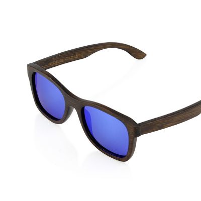 FC Design Blue Sunglasses Image 2