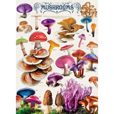 Field Guide - Mushrooms 1000 Piece Jigsaw Puzzle Image 2