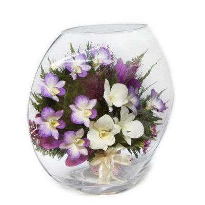 Fiora Flower Long-Lasting Orchids in a Large Glass Vase Image 1