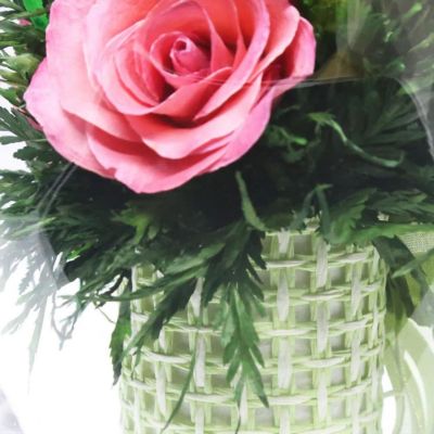 Fiora Flower Long Lasting Pink Roses in a Elliptical Round Glass Vase Image 2