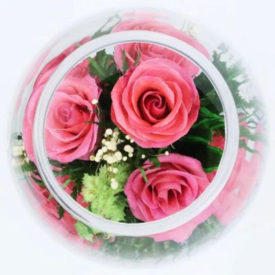 Fiora Flower Long Lasting Pink Roses in a Elliptical Round Glass Vase Image 3