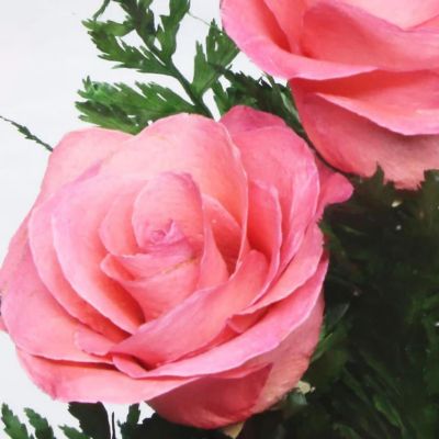 Fiora Flower Long Lasting Pink Roses in a Sealed Glass Vase Image 3