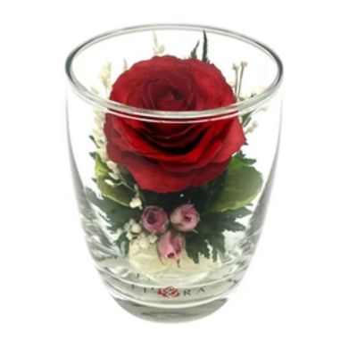 Fiora Flower Long Lasting Red Rose in a Small Glass Vase Image 2