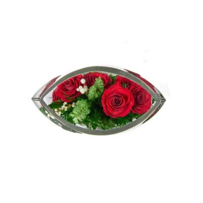 Fiora Flower Long-Lasting Red Roses in a Sealed Glass Vase Image 2
