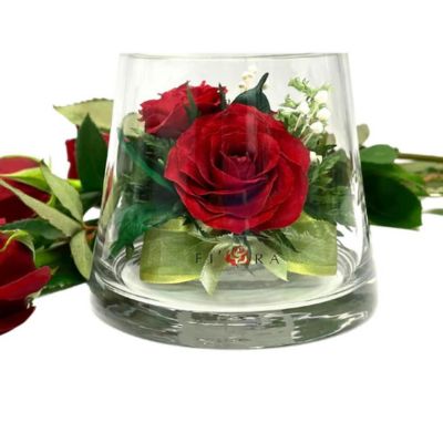 Fiora Flower Long Lasting Red Roses in a Small Taper Up Cylinder Glass Vase Image 1