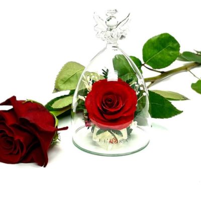 Fiora Flower Natural Preserved Red Rose in an Angel Shaped Glass Vase Image 1