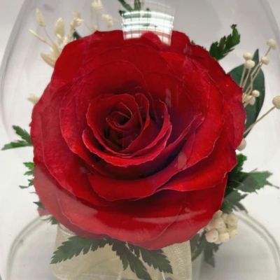 Fiora Flower Natural Preserved Red Rose in an Angel Shaped Glass Vase Image 2
