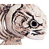 Fish Skeleton Decoration Image 2