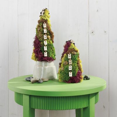 FloraCraft FloraFoM Cone Bulk Pack-2.75"X6" Image 2