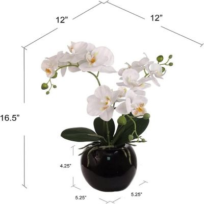Floral Home 16.5" Black Ceramic Phalaenopsis Orchid 1pc Image 1