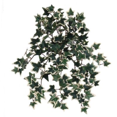 Floral Home Green 13" Faux Plant with 176 Leaves 1pc Image 1