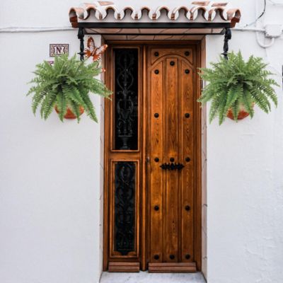 Floral Home Green 35 Fronds Boston Fern Plant 2pcs Image 2