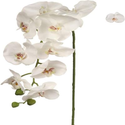 Floral Home White 49 Artificial Orchid Stems 1pc Image 1