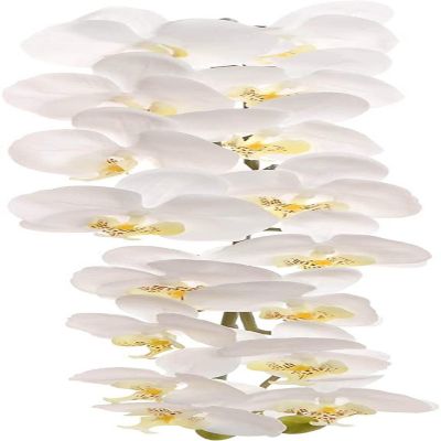 Floral Home White 49 Artificial Orchid Stems 1pc Image 1