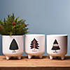 Footed Pine Tree Planter  (Set Of 3) 5.5"D X 6.25"H Dolomite Image 4