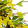 Forsythia and Leaves Artificial Spring Floral Wreath 20" Image 2