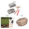 Fossil Kit for 12 Image 1