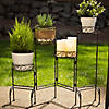 Four-Tier Plant Stand Screen 9X6.5X24.75" Image 3