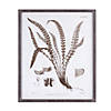 Framed Fern Print (Set Of 6) 19.75"L X 23.75"H Wood/Paper Image 2