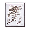 Framed Fern Print (Set Of 6) 19.75"L X 23.75"H Wood/Paper Image 3