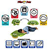 Friendly Frog Pillow Pet Image 3