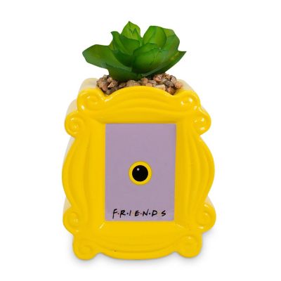 Friends Peephole Frame 3-Inch Ceramic Mini Planter with Artificial Succulent Image 1