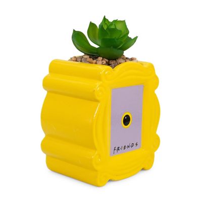 Friends Peephole Frame 3-Inch Ceramic Mini Planter with Artificial Succulent Image 1