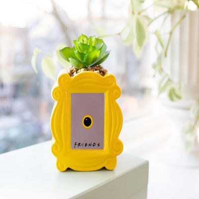 Friends Peephole Frame 3-Inch Ceramic Mini Planter with Artificial Succulent Image 2