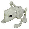 Frog Skeleton Decoration Image 1