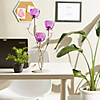 Fuchsia Blooms Candleholder 6.5X6X17.75" Image 2
