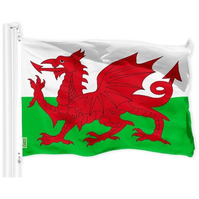 G128 3x5 Ft Printed 150D Polyester Wales Welsh Flag Image 1