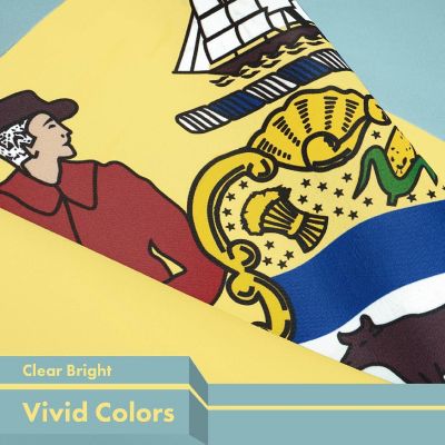 G128 3X5Ft 2Pk Delaware 150D Polyester Flag Image 2