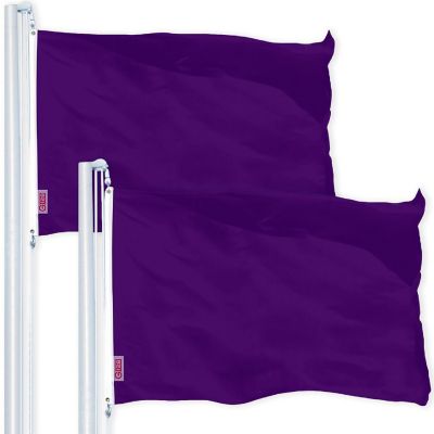 G128 4x6ft 2PK Solid Purple Printed 150D Polyester Brass Grommets Flag Image 1