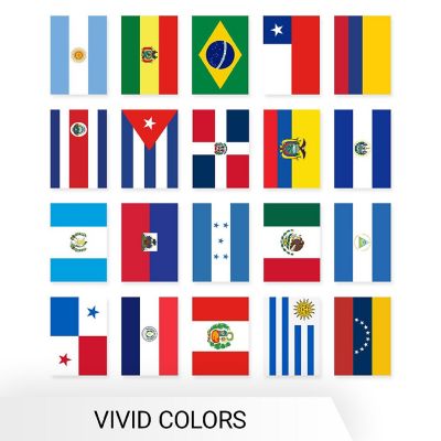 G128 8.2x5.5IN Flag Pieces 30FT Full String, Latin America Printed 150D Polyester Bunting Banner Flag Image 2