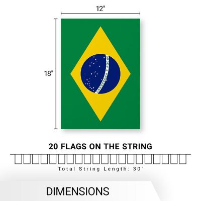 G128 8.2x5.5IN Flag Pieces 30FT Full String, Latin America Printed 150D Polyester Bunting Banner Flag Image 3