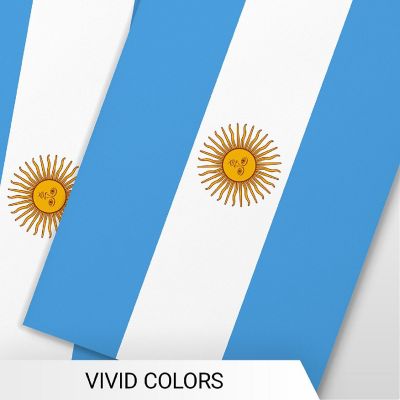 G128 8.2x5.5IN Flag Pieces 33FT Full String, Argentina Printed 150D Polyester Bunting Banner Flag Image 2