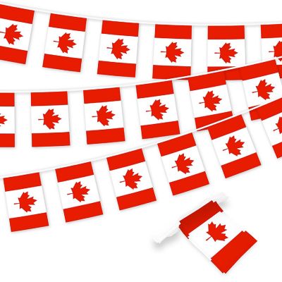 G128 8.2x5.5IN Flag Pieces 33FT Full String, Canada Printed 150D Polyester Bunting Banner Flag Image 1