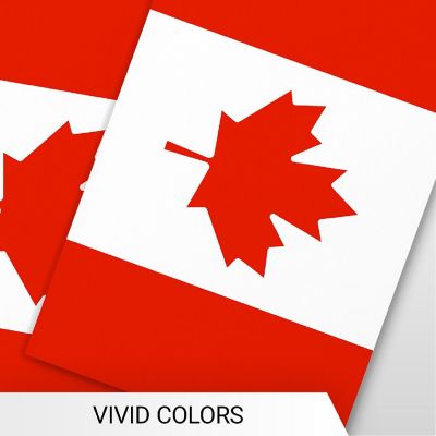 G128 8.2x5.5IN Flag Pieces 33FT Full String, Canada Printed 150D Polyester Bunting Banner Flag Image 2
